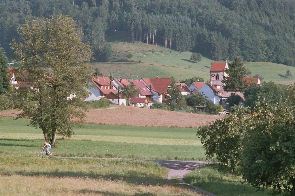 Landgasthof Ochsen Seelbach  Exterior foto